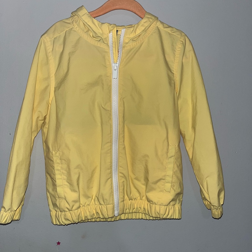 Raining yellow jacket